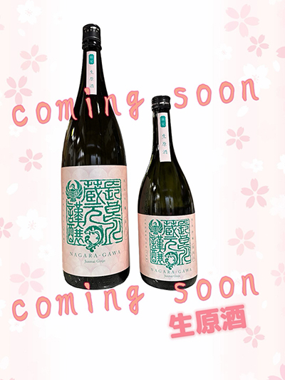 N扇生原酒-カミングスーン画像-1-72dpi.jpg